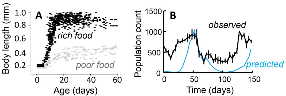 PowerPoint Presentation