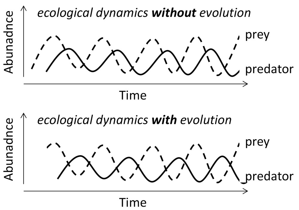 Yoshida findings.jpg